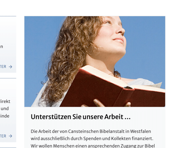 Ein Bild im Content der Website