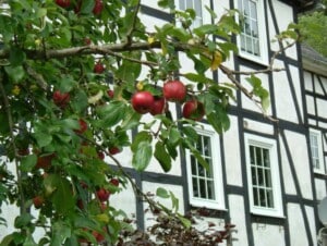 Südwestfalen-webseite